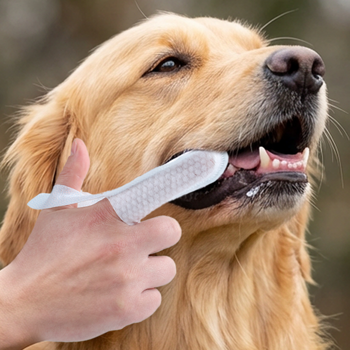 Gently Wipe teeth and gums