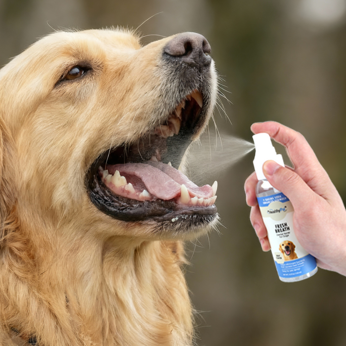 Finish with Breath Spray Enhances cleaning & freshens breath